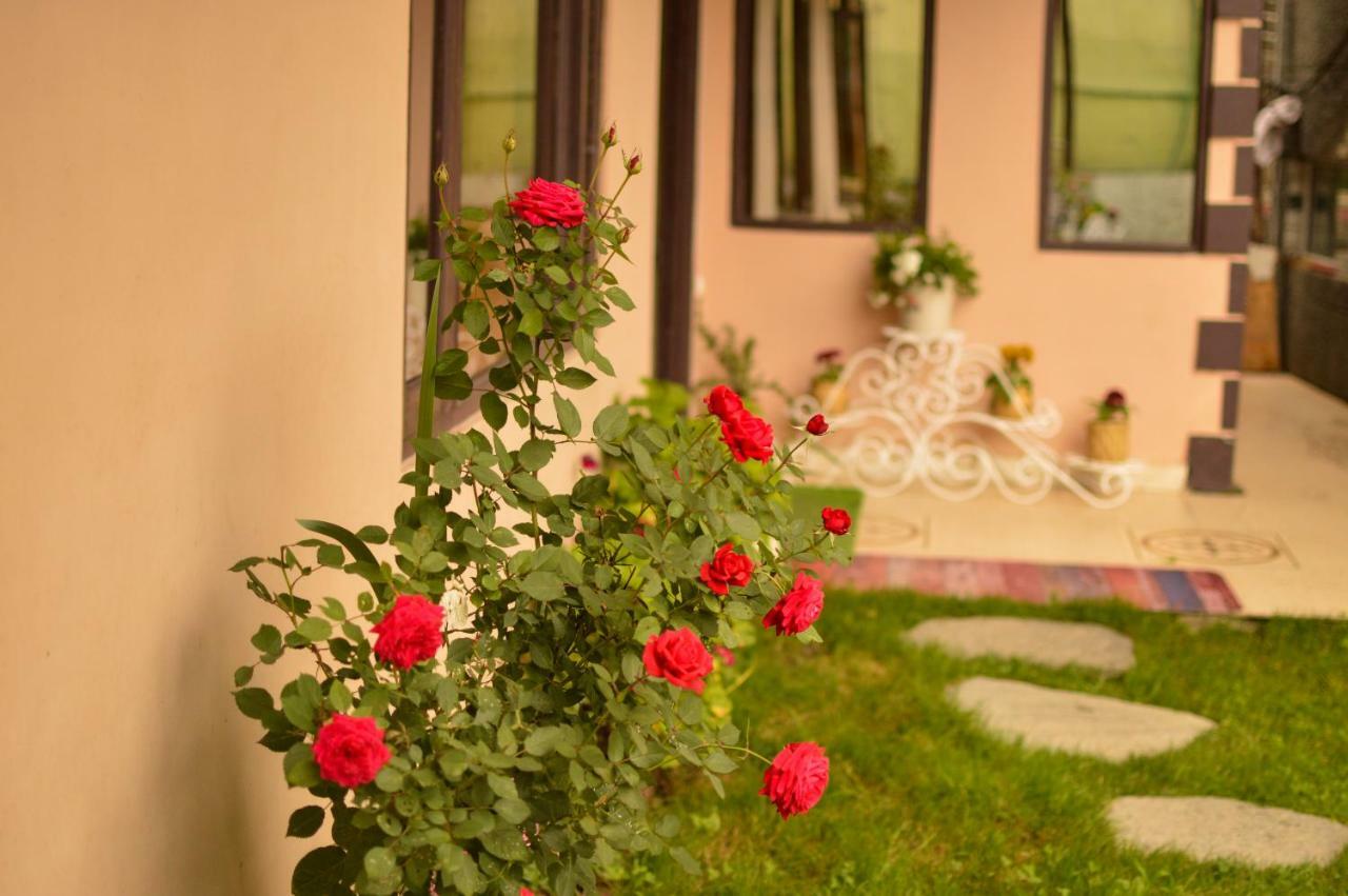 Hill House Manali -A Home In Mountains Zewnętrze zdjęcie